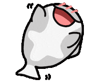 Orca Sticker