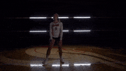 MSUMDragons volleyball dragons msum msum dragons GIF