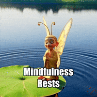 Mindfulness Presence GIF by BuddhaFlyJourney