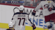 Ice Hockey Sport GIF by NHL