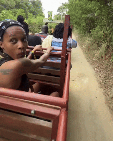 Jamaican Flag Jamaica GIF