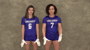 Cuw GIF by CUWFalcons