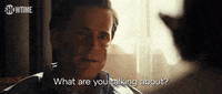Season 1 Hawk GIF by SHOWTIME
