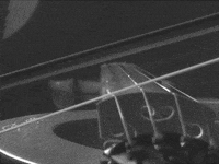 violin GIF