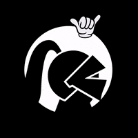 thecamerongroup disney GIF