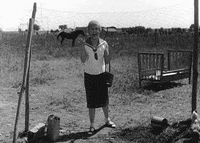 federico fellini request GIF by Maudit