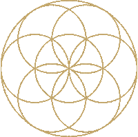 Peace Circle Sticker by Carmen Marshall