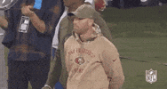 2019 Nfl Football GIF by NFL