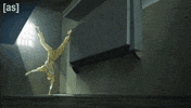 Flipping Cowboy Bebop GIF by Adult Swim
