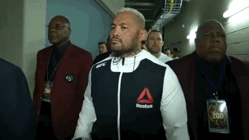 brock lesnar ufc GIF