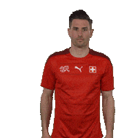 Swipe Up Fabian Schar Sticker by Swiss Football Association