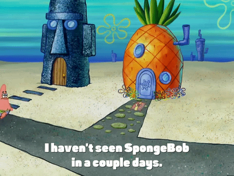 season 4 episode 3 GIF by SpongeBob SquarePants