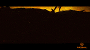 Teenage Mutant Ninja Turtles GIF by Regal