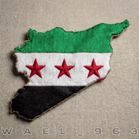 Syria Wael GIF