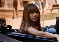 Lisa Presentation GIF