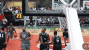 basketball GIF by Bacardi Flavors