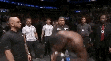 ufc sports sport ufc mma GIF