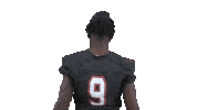 Go Tigers Football Sticker by East Central University