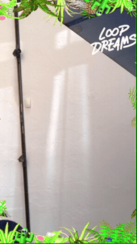 framebeta GIF