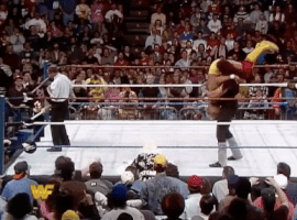 hulk hogan GIF by WWE