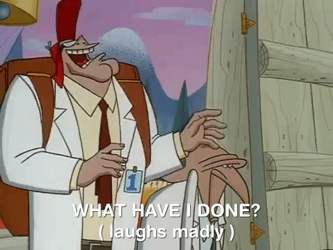 nickrewind giphydvr nicksplat angry beavers giphyab031 GIF