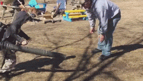 Turn Turn Lol GIF by America's Funniest Home Videos