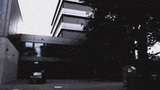 TOGfoxes together bootcamp Ulm weareone GIF