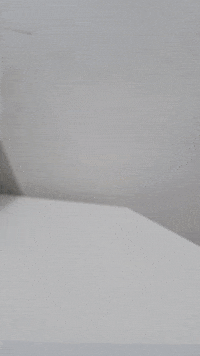 Stop Motion Monster GIF by dan.bahia.dan