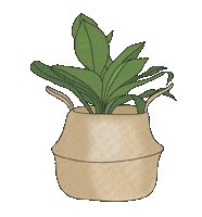 Plant Houseplant Sticker by The Blooming Nest