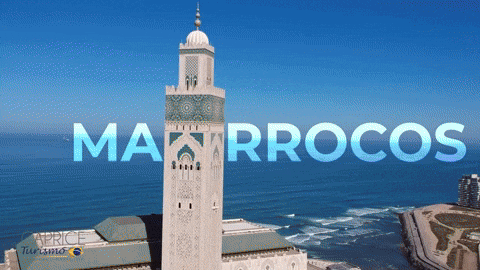 gisasantanna giphyupload GIF