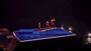 Happy Flip GIF by Ringling Bros. and Barnum & Bailey