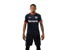 Bayer 04 Bailey Sticker by Bayer 04 Leverkusen