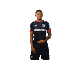 Bayer 04 Bailey Sticker by Bayer 04 Leverkusen