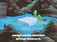 season 4 the lost mattress GIF by SpongeBob SquarePants