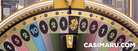 CASIMARUCASINO giphygifmaker GIF