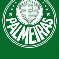 Palmeiras soccer futebol legal parabens GIF