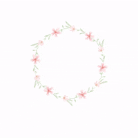 Themilkpantry  GIF