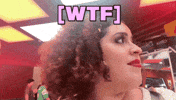 What The Hell Wtf GIF