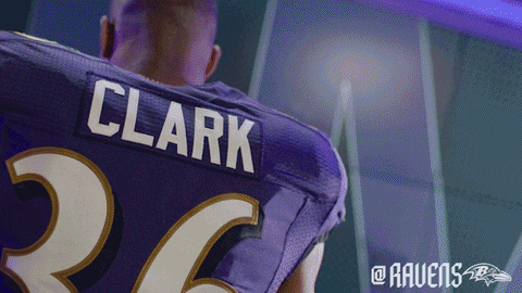 Football Celebrate GIF by Baltimore Ravens