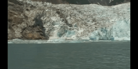 Climate Change Education GIF by DIIMSA Stock