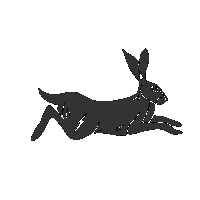 thejaderabbitparlor hair rabbit barber cut Sticker