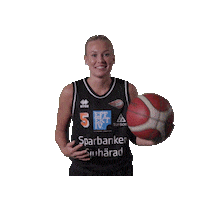 Basketball Hoops Sticker by Borås Basket