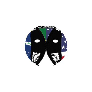 Btt Dominion Sticker by Brazilian Top Team