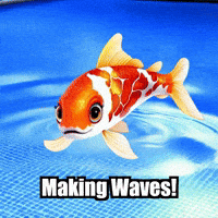 Fitness Swimming GIF by TheConfishius