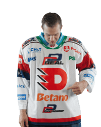 Hockey Czech Sticker by HC Dynamo Pardubice
