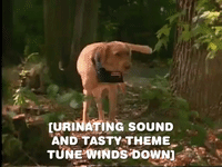 season 3 GIF