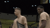 Gotribe Tribeathletics GIF by William & Mary Tribe Athletics