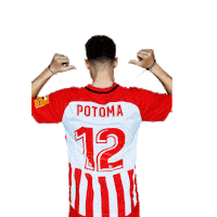 futbalovaliga futbal fortuna liga fortunaliga nasaliga Sticker