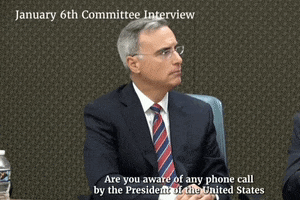 Jan 6 Hearing GIF by GIPHY News
