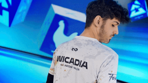 Esports Turkey GIF by BLAST